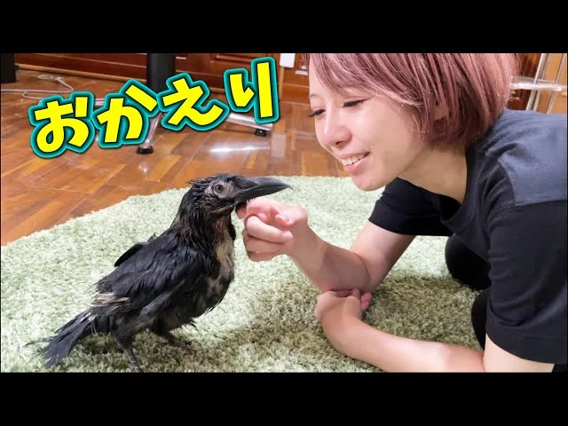 Youtuberルーレット ランダム表示