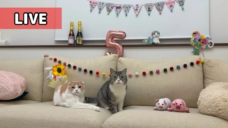 Youtuberルーレット ランダム表示